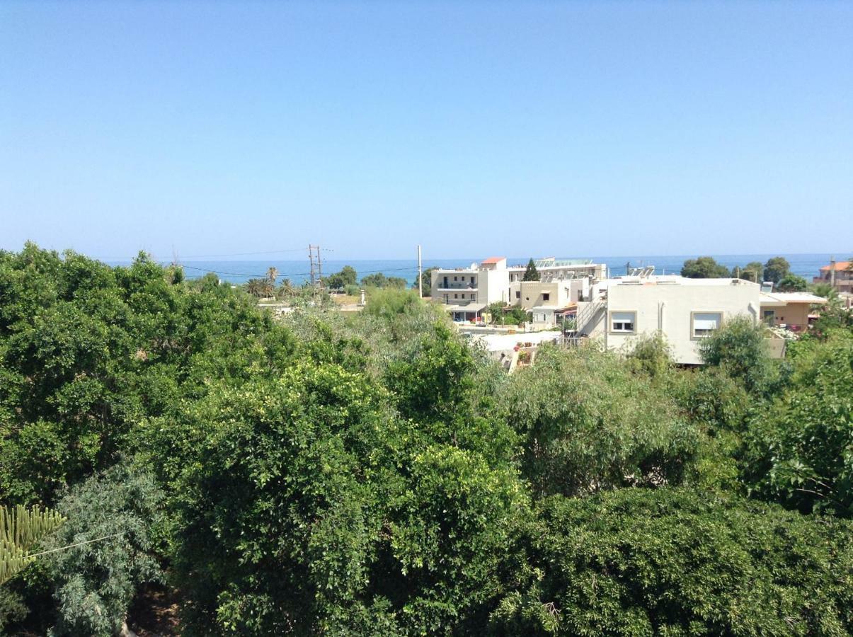 Arokaria Holiday Houses 普拉坦斯 外观 照片